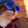 SpySpooKy